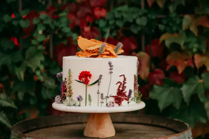 KĀZU TORTE – PRAKTISKI PADOMI