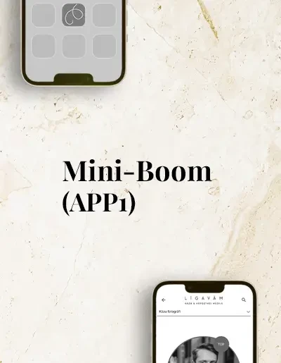 Mini-Boom (APP1)