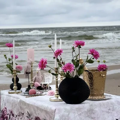 Magnolia Ziedu Tirgotava