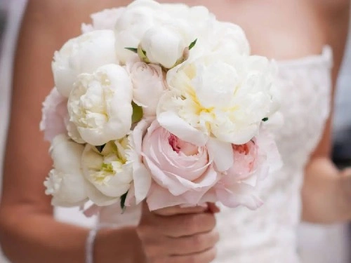 /profiles_advertise/Flower Salon Bante