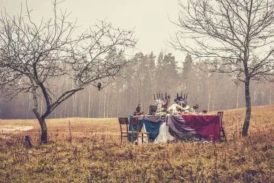 ZIEMAS KĀZU DEKORĒŠANA. EKONOMISKĀ KLASE