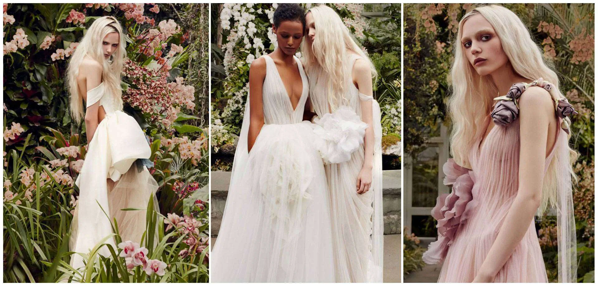 VERA WANG
