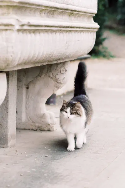 Foto: KRISTĪNE GRĪNVALDE