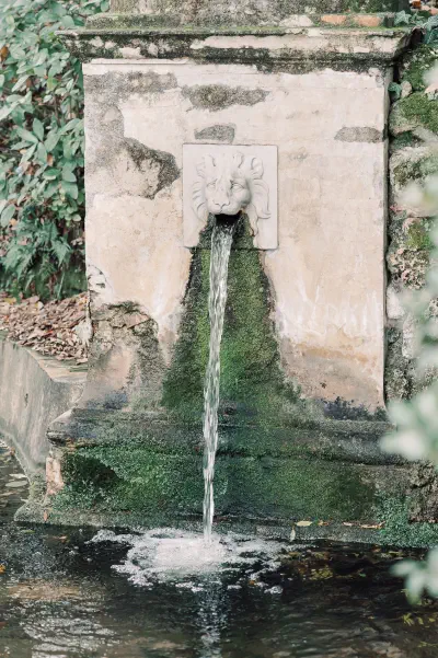 Foto: KRISTĪNE GRĪNVALDE
