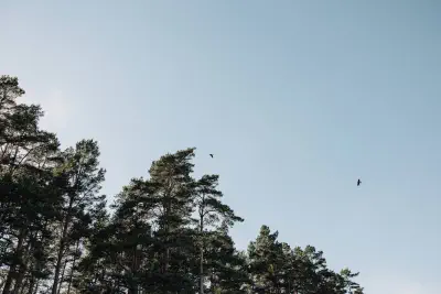 Foto: MĀRIS ARBIDĀNS
