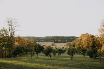 Foto: MIKS ŠĒLS