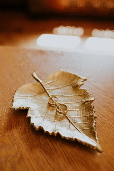 Foto: AINĀRS MAZJĀNIS