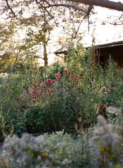 Foto: NORMAN & BLAKE / Plānotājs: ALISON BRYAN