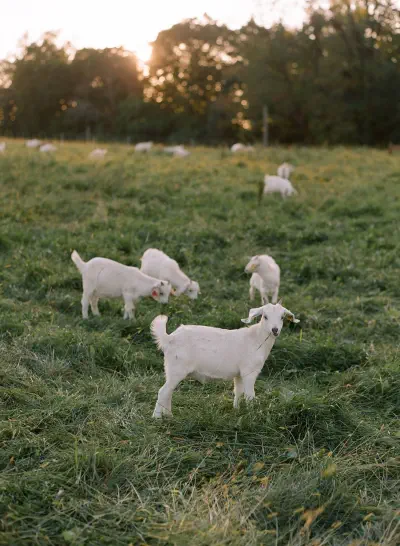 Foto: NORMAN & BLAKE / Plānotājs: ALISON BRYAN